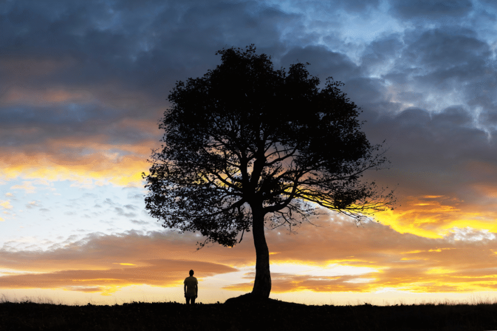silhouette-of-lonely-human-under-big-majestic-tree